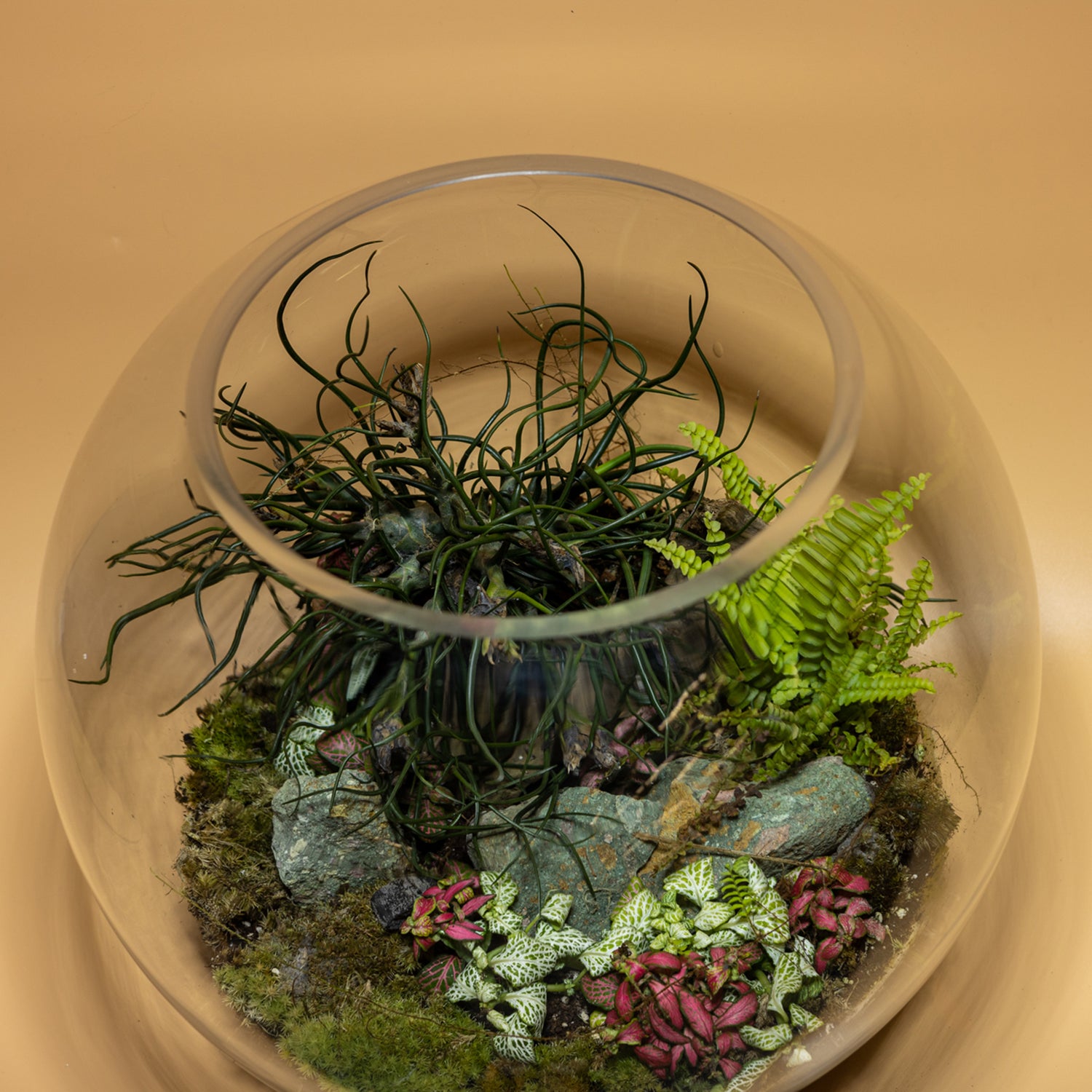 Lost Time Treasures Terrarium