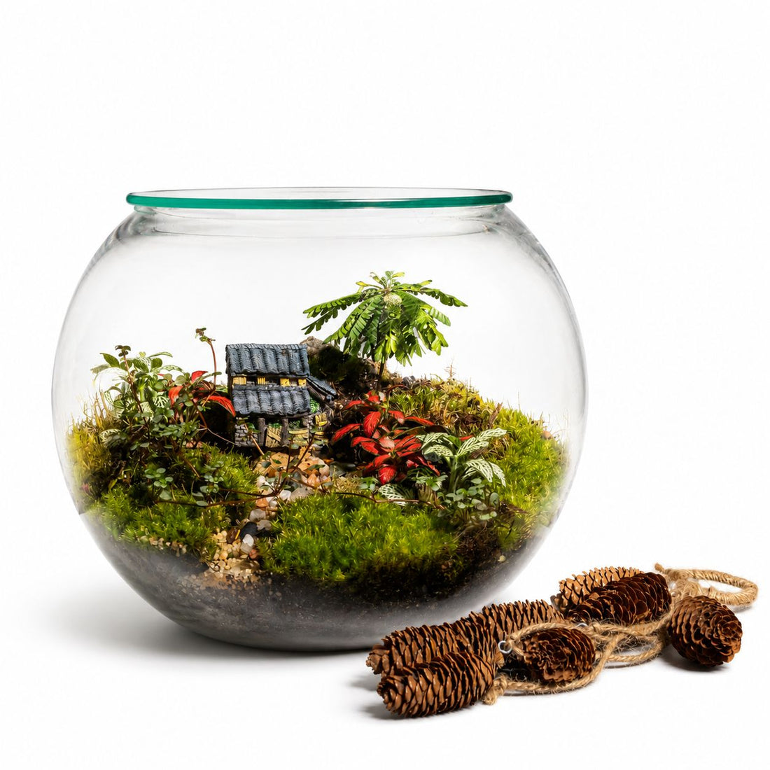 Zen Village Closed Terrarium – Miniature Japanese Garden Ecosystem