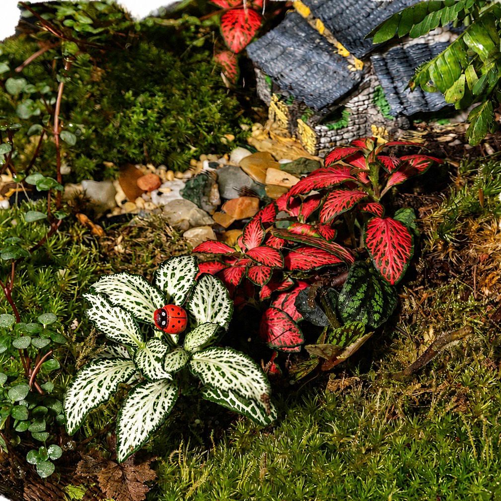 Zen Village Closed Terrarium – Miniature Japanese Garden Ecosystem