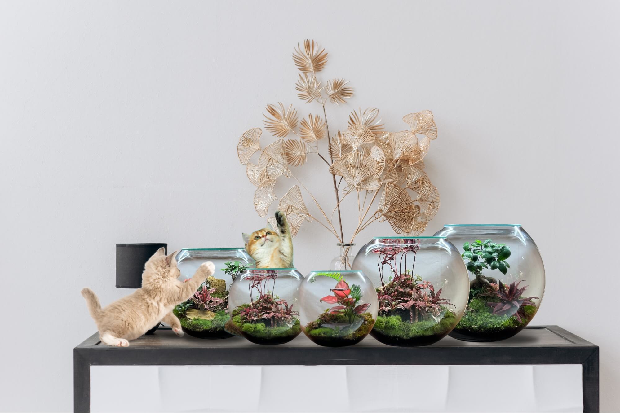 Wooden Art Terrarium Collection On Table