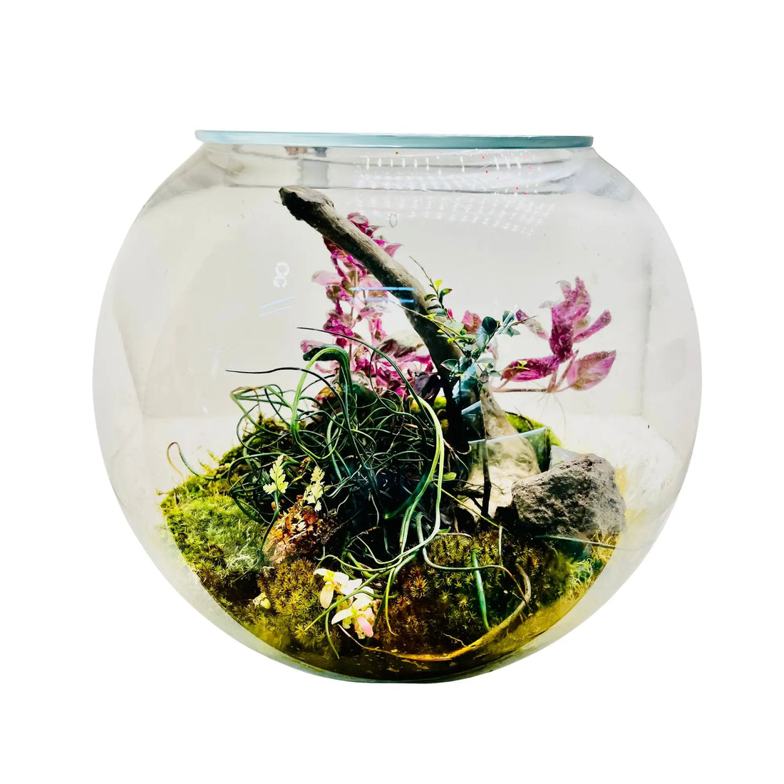 Woodland Charm Terrarium