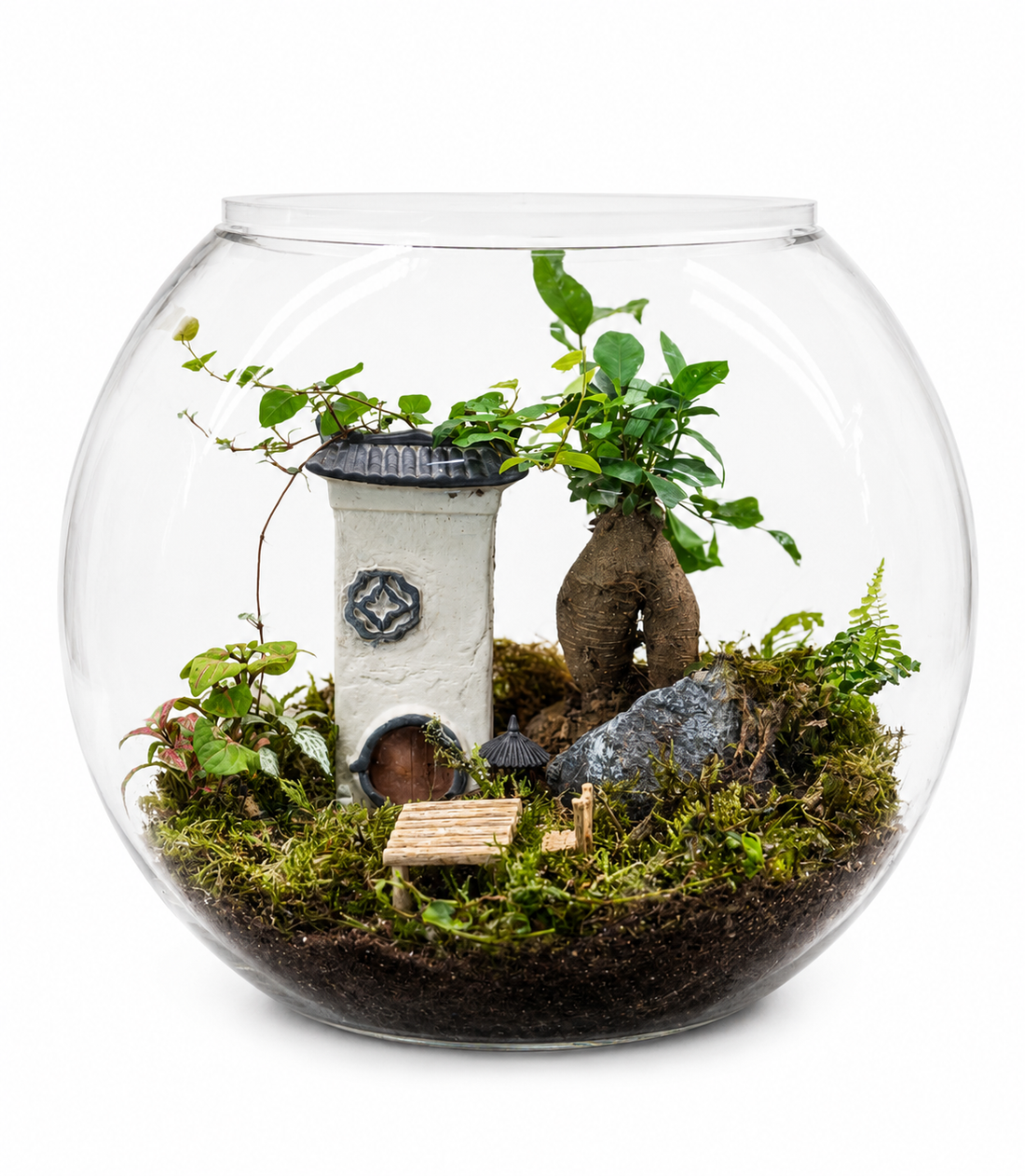 Whispering Cottage Bonsai Closed Terrarium - Mini Ecosystem