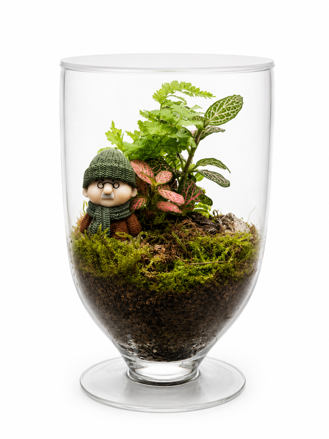 Woodland Keeper Closed Terrarium - Mini Ecosystem