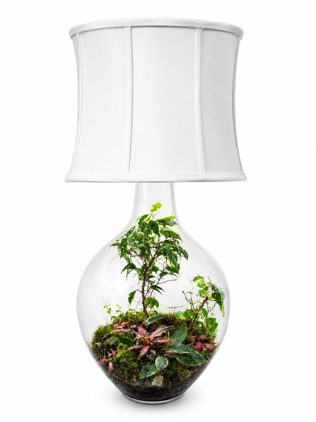 Pink Tradescantia Closed Terrarium Lamp – Living Indoor Ecosystem with Mood Lighting