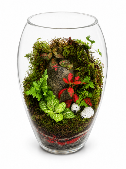 Fern Fittonia Red White Vein Moss Valley Closed Terrarium – Glass Ecosystem 22x15cm