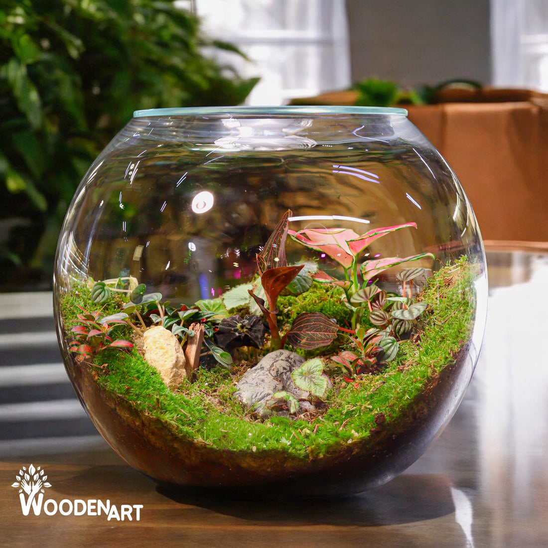 Alice’s Terrarium