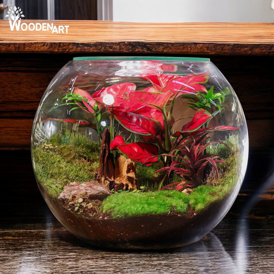 Nature Harmony Terrarium