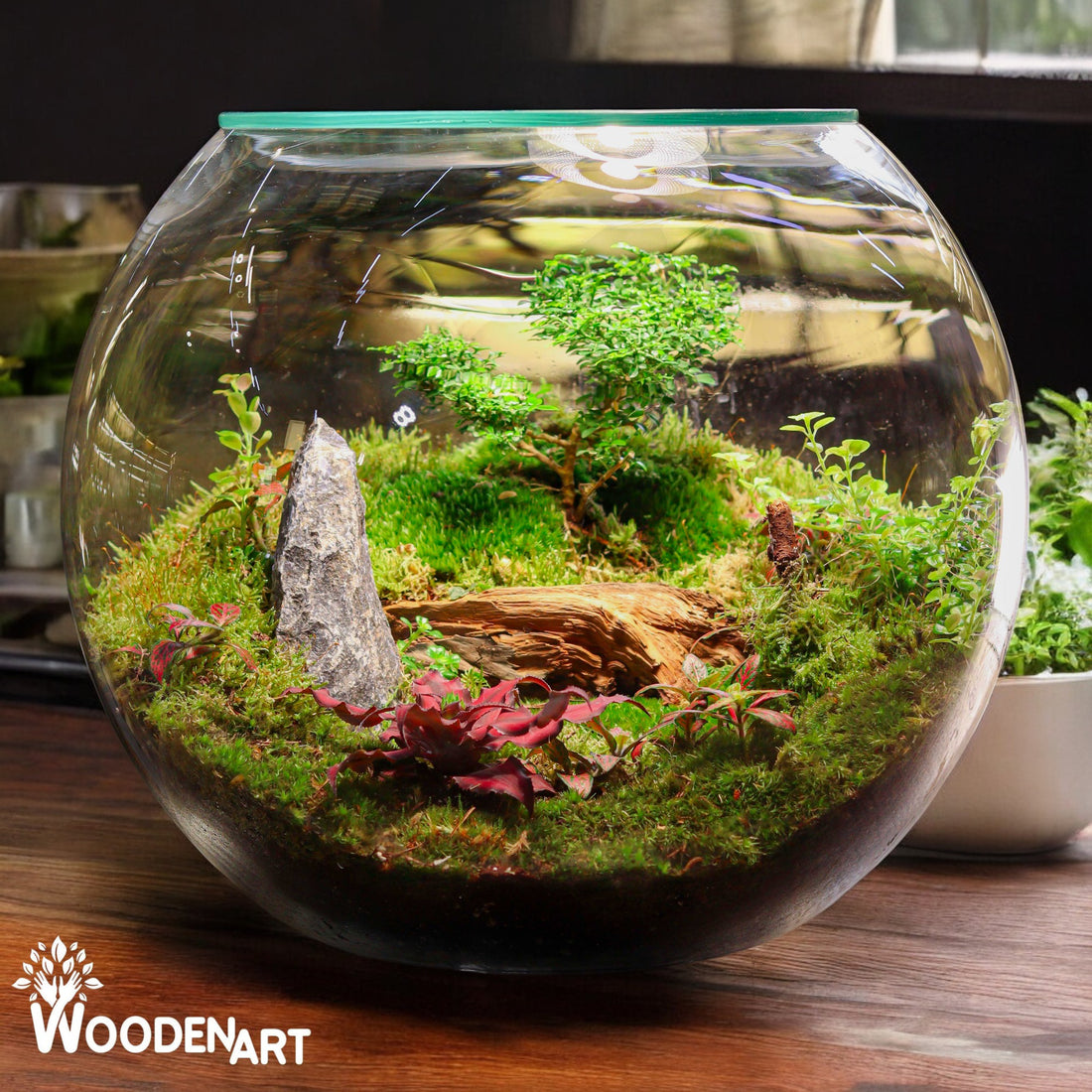 Rest Corner Terrarium