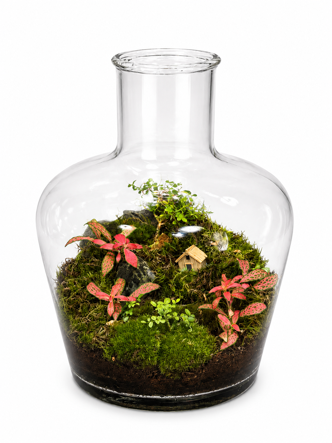 Pink Fairy Garden Closed Terrarium Ecosystem – Mini Moss Cottage Landscape